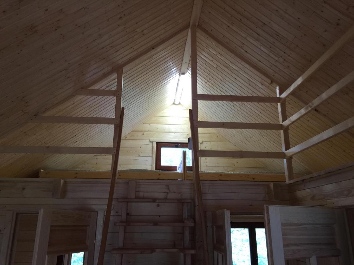 Lodge W Sercu Mazur Dla Mlodziezy I Doroslych Ryn (Warmian-Masurian)